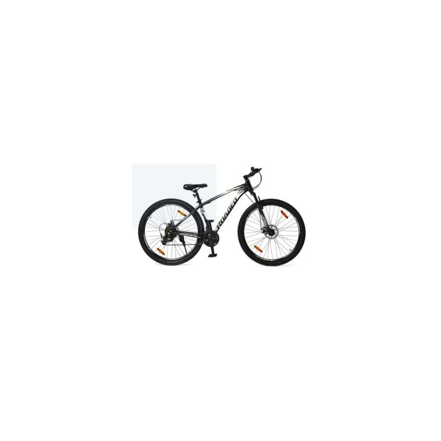 BSA CYCLE ROADEO NFS 7x3 Disc 29" BLACK WITH NEON GREEN