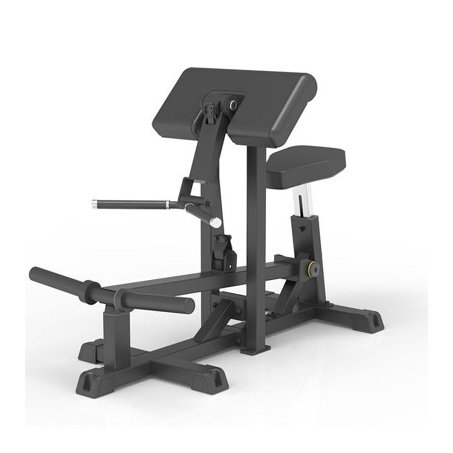 IMPULSE BICEP CURL IFP1501-WX
