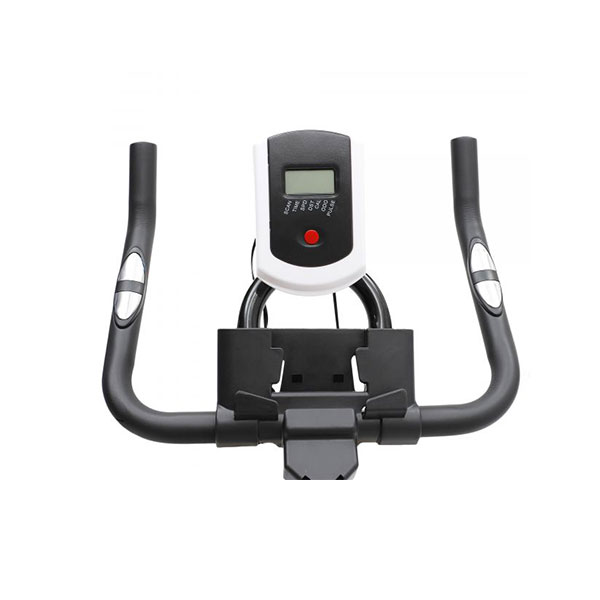 Spin Bike (brand Ta Sport) Gallery