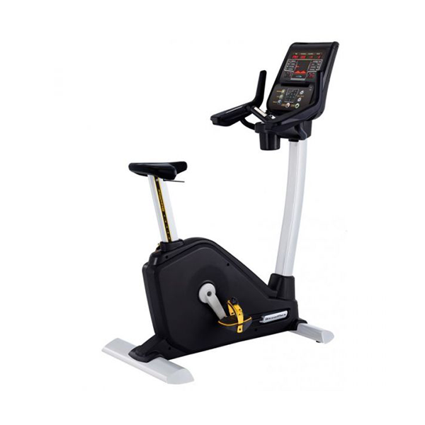 Steelflex Commercial Upright Bike Pb 10