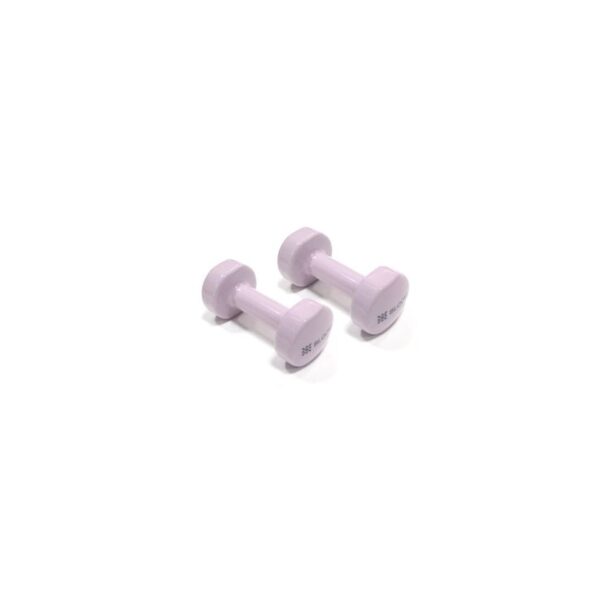 Bloom Vinyl Dumbbell Aele 8076 1 1kgx2 Purple