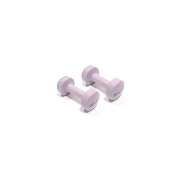 Bloom Vinyl Dumbbell Aele 8076 2 2kgx2 Purple