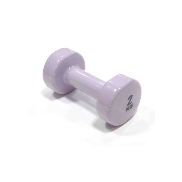 Bloom Vinyl Dumbbell Aele 8076 2 2kgx2 Purple